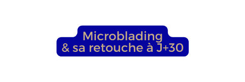 Microblading sa retouche à J 30